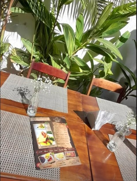 Mesa de madeira com jogo americano, vasinho de flores e o cardápio, ao lado de plantas tropicais